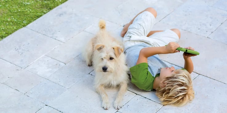 foto blog viagens seguras pets criancas